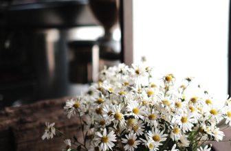 [☕️🇻🇳] Root Coffee Roastery 🥤 Top1Coffee ☕️ Sunday Morning
#rootcoffeeroastery #coffeetime #somethingbeautiful #happyweekend, shares-0✔️ , likes-21❤️️ , date-2021-12-11 15:46:46🇻🇳🇻🇳🇻🇳📰🆕