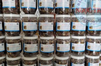 [🆕🇻🇳] Đặc sản châu đốc NGỌC TRÂN 🍔 Top1Food 🍜  , shares-0✔️ , likes-4❤️️ , date-2022-05-22 16:29:21🇻🇳🇻🇳🇻🇳📰🆕