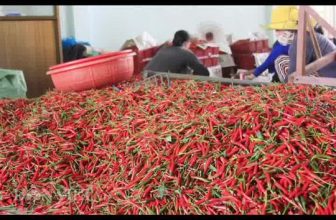 [🆕🇻🇳] Mắm Huế Chính Hiệu RI Nguyễn 🍔 Top1Food 🍜   QUÀ TẾT ! QUÀ TẾT chỉ #39K
Mừng hết năm cũ đón chào năm mới
Ưu đãi khi mua 1O hũ được
( Miễn Phí Shjp ) ạ !!
“————————— , shares-47✔️ , likes-17K❤️️ , date-2022-01-17 04:32:53🇻🇳🇻🇳🇻🇳📰🆕