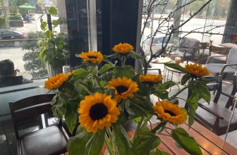 [☕️🇻🇳] Lion Coffee Nam Định 🥤 Top1Coffee ☕️ Chờ ngày hết dịch lúc đó chắc cùng nhau kể về những ngày chúng ta F0 ra ????
, shares-0✔️ , likes-7❤️️ , date-2022-02-24 16:19:52🇻🇳🇻🇳🇻🇳📰🆕