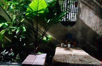 [☕️🇻🇳] BỤI Coffee Chill – Plants 🥤 Top1Coffee ☕️ To an old man a cup of coffee is like the door post of an old house — it sustains and strengthens him
#Ohchếttiệt
Mới học được  , shares-1✔️ , likes-79❤️️ , date-2022-05-24 01:18:24🇻🇳🇻🇳🇻🇳📰🆕