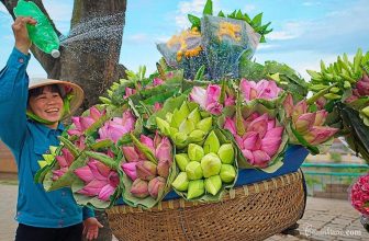 [🆕🇻🇳] Wecheckin.vn – Travel Blog – Chuyên trang chia sẻ kinh nghiệm du lịch và review homestay ♥️️ Top1Checkin ☑  | 01. 06. 2022 – Sen về trên phố |Tôi mến Hà Nội, vì những hình ảnh thế này…Nhìn ngắm những “xe hoa sen” thế này, mình cảm thấy mọi thứ dịu lại biết ba , shares-0✔️ , likes-11❤️️ , date-2022-06-01 00:32:23🇻🇳🇻🇳🇻🇳📰🆕