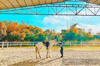 [🆕🇻🇳] Wecheckin.vn – Travel Blog – Chuyên trang chia sẻ kinh nghiệm du lịch và review homestay ♥️️ Top1Checkin ☑  Cuối tuần rồi, làm gì vừa sảng khoái vừa luyện tập độ khéo léo, dẻo dai nhỉ!!!Lời gợi ý của team #wecheckin tuần này: Đi Cưỡi NgựaNgoài việc loại bỏ n , shares-2✔️ , likes-7❤️️ , date-2022-05-26 10:40:24🇻🇳🇻🇳🇻🇳📰🆕