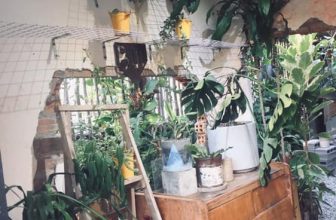 [☕️🇻🇳] BỤI Coffee Chill – Plants 🥤 Top1Coffee ☕️ Mai ham zui đi đám cưới người yêu cũ nên Bụi xin off buổi tối ngày mai nhan.
Những ngày còn lại vẫn đóng mở ất ơ bình thường ạ
, shares-0✔️ , likes-7❤️️ , date-2022-08-23 01:28:08🇻🇳🇻🇳🇻🇳📰🆕