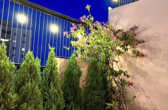 [☕️🇻🇳] PINK Cafe 37 Nguyễn Văn Huyên 🥤 Top1Coffee ☕️  Trung thu này bạn đã tìm được địa điểm trông trăng chưa?  Hãy đến Pink cafe chọn cho mình một chỗ ngồi lý tưởng với View sân th , shares-0✔️ , likes-6❤️️ , date-2022-09-07 19:09:54🇻🇳🇻🇳🇻🇳📰🆕