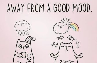 [🆕🇻🇳] An Yoga – Phòng tập dạng home studio, quy mô nhỏ 🧘 Top1Yoga 🧘 Trước khi tập Yoga
Và
Sau khi tập Yoga
………………
Có gì khác hông ha
, shares-0✔️ , likes-4❤️️ , date-2022-09-21 15:08:41🇻🇳🇻🇳🇻🇳📰🆕