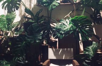 [☕️🇻🇳] BỤI Coffee Chill – Plants 🥤 Top1Coffee ☕️ Ngoài Coffee bao ngon bao rẻ.
Nhà tớ còn có Cây bao xinh Bao đẹp Bao Rẻ nữa nha mấy mẹ.
#Inner #Tebe #BuiCofffee #Indoorplants  , shares-0✔️ , likes-8❤️️ , date-2022-09-22 01:20:20🇻🇳🇻🇳🇻🇳📰🆕