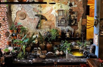 [☕️🇻🇳] NAM house 🥤 Top1Coffee ☕️ góc vườn nhỏ xinh
lung linh cùng nắng …
_____
NAM
• NAM house – 15/1 Lê Hồng Phong, ĐN
• NAM cafe – 36 Đống Đa, ĐN – Ope , shares-0✔️ , likes-27❤️️ , date-2022-10-22 15:59:18🇻🇳🇻🇳🇻🇳📰🆕