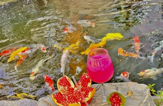 [☕️🇻🇳] Newland Coffee 🥤 Top1Coffee ☕️ Thu sang là thời gian giúp con người nhận ra sự thay đổi tuyệt diệu và bất ngờ từ thiên nhiên.Thời tiết này bạn muốn đi đâu? H , shares-0✔️ , likes-83❤️️ , date-2022-10-25 23:13:55🇻🇳🇻🇳🇻🇳📰🆕