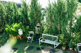 [☕️🇻🇳] Anaiis Concept – Café 🥤 Top1Coffee ☕️ “chị Dung”
Những cánh hoa, tán cây ngày ngày gội mình dưới nắng tạo nên không gian xanh mà huyền ảo cho khu vườn của “cung điện  , shares-1✔️ , likes-18❤️️ , date-2022-12-31 11:51:58🇻🇳🇻🇳🇻🇳📰🆕