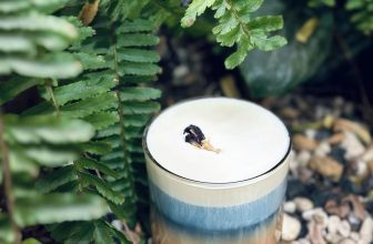 [☕️🇻🇳] La Farine 🥤 Top1Coffee ☕️ “𝐋𝐀 𝐏𝐋𝐀𝐆𝐄 – 𝐁𝐢𝐞̂̉𝐧 𝐱𝐚𝐧𝐡 𝐜𝐮̉𝐚 𝐁𝐨̣̂𝐭 𝐁𝐨̣̂𝐭”Mấy tuần trước chúng mình đã up nhá hàng món trà mới lên story rồi và cũng làm mọi n , shares-0✔️ , likes-32❤️️ , date-2023-01-06 02:10:44🇻🇳🇻🇳🇻🇳📰🆕