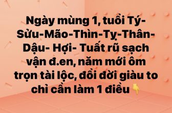 [🆕🇻🇳] Sumo Store – Cửa hàng quần áo nữ 👕 Top1Fashion 👗   , shares-1✔️ , likes-16K❤️️ , date-2023-01-21 19:58:14🇻🇳🇻🇳🇻🇳📰🆕