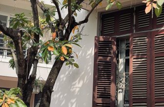 [☕️🇻🇳] La Farine 🥤 Top1Coffee ☕️ “𝐁𝐚̣𝐧 𝐭𝐫𝐨̛̉ 𝐥𝐚̣𝐢 𝐜𝐮𝐨̣̂𝐜 𝐬𝐨̂́𝐧𝐠 𝐛𝐢̀𝐧𝐡 𝐭𝐡𝐮̛𝐨̛̀𝐧𝐠 𝐜𝐡𝐮̛𝐚?”“Còn mùng là còn Tết” nhưng giờ còn mùng mà vẫn phải đi làm thì chắc là  , shares-0✔️ , likes-14❤️️ , date-2023-01-31 02:32:38🇻🇳🇻🇳🇻🇳📰🆕