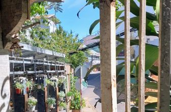 [☕️🇻🇳] An Cafe – Ăn uống và cafe đúng chất Đà Lạt 🥤 Top1Coffee ☕️  Chúc mừng: Bản đồ khách đến với An CaFe phấn khởi được ghi thêm tên nhóm bạn vui vẻ từ Berlin / CHLB Đức, cô Rupa từ Bangalore  , shares-0✔️ , likes-12❤️️ , date-2023-03-02 03:53:27🇻🇳🇻🇳🇻🇳📰🆕