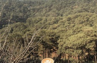 [☕️🇻🇳] Horizon Coffee – Đà Lạt 🥤 Top1Coffee ☕️ Các bà mẹ đều có một khuyết điểm chung. Chỉ cần bạn khen món ăn nào ngon, họ sẽ nấu đi nấu lại món đó, cho đến khi bạn ăn phát c , shares-0✔️ , likes-10❤️️ , date-2023-03-07 00:42:19🇻🇳🇻🇳🇻🇳📰🆕