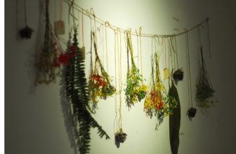 [☕️🇻🇳] KUMO CHAN Coffee and Garden 🥤 Top1Coffee ☕️ Đã 𝕓𝕒𝕠 𝕝â𝕦 𝕣ồ𝕚 𝕓ạ𝕟 𝕔𝕙ư𝕒 𝕘𝕙é 𝕂𝕌𝕄𝕆?!
𝕂𝕙á𝕔𝕙 𝕘𝕙é 𝕂𝕌𝕄𝕆 𝕔ó 𝕣ấ𝕥 𝕟𝕙𝕚ề𝕦 độ 𝕥𝕦ổ𝕚 : 𝔾𝕚à 𝕔ó, 𝕥𝕣ẻ 𝕔ó, 𝕔á𝕔 𝕓ạ𝕟 𝕟𝕙ỏ 𝕔ũ𝕟𝕘 𝕔ó 𝕝𝕦ô𝕟.
ℕ𝕙ư𝕟𝕘 𝕔ó 𝕞ộ𝕥  , shares-0✔️ , likes-7❤️️ , date-2023-03-20 13:00:04🇻🇳🇻🇳🇻🇳📰🆕