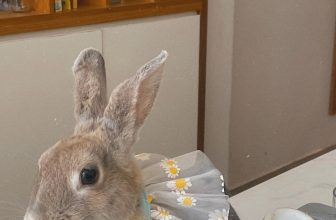 [☕️🇻🇳] Hạ An Corner – Trà – Bánh – Cafe – Piano 🥤 Top1Coffee ☕️ 𝙲𝚘𝚗 𝚝𝚑𝚘̉ – 𝙰̆𝚗 𝚌𝚘̉ – 𝚄́𝚗 𝚗𝚞̛𝚘̛́𝚌 – 𝙲𝚑𝚞𝚒 𝚟𝚊̀𝚘 𝚑𝚊𝚗𝚐
𝙱𝚎́ 𝚝𝚑𝚘̉ 𝚌𝚞̛𝚗𝚐 𝚌𝚞̉𝚊 𝚔𝚑𝚊́𝚌𝚑𝗛𝗮̣ 𝗔𝗻 𝗖𝗼𝗿𝗻𝗲𝗿
[𝒯𝓇𝒶̀ – ℬ𝒶́𝓃𝒽 – 𝒞𝒶̀ 𝒫𝒽ℯ̂ – 𝒫𝒾𝒶𝓃ℴ] , shares-0✔️ , likes-21❤️️ , date-2023-03-16 20:14:16🇻🇳🇻🇳🇻🇳📰🆕