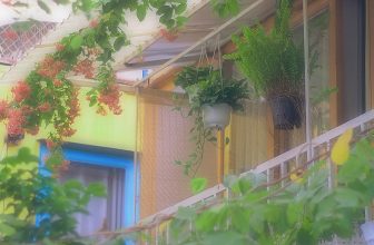 [☕️🇻🇳] KUMO CHAN Coffee and Garden 🥤 Top1Coffee ☕️ 𝐂ó những ngày bình yên đến lạ
Chúc mọi người một tuần mới làm việc hiệu quả
——–
ようこそ!!!雲ちゃんへ～
KUMO CHAN COFFEE
Open : Mo , shares-0✔️ , likes-67❤️️ , date-2023-03-26 14:44:53🇻🇳🇻🇳🇻🇳📰🆕