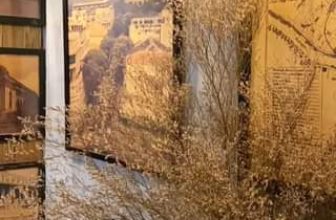 [☕️🇻🇳] Nhà SaiGon Homestay – Coffee 🥤 Top1Coffee ☕️ Hôm nay, bạn có hẹn chưa?
, shares-0✔️ , likes-0❤️️ , date-2023-06-13 20:06:08🇻🇳🇻🇳🇻🇳📰🆕