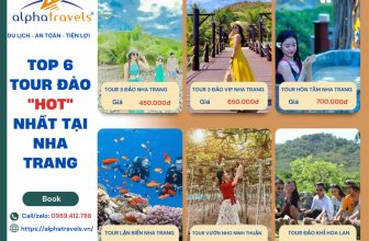 [🆕🇻🇳] Alpha Travels – Kênh Du Lịch Khám Phá ♥️️ Top1Checkin ☑   𝐂𝐀̣̂𝐏 𝐍𝐇𝐀̣̂𝐓 𝐆𝐈𝐀́ 𝐓𝐎𝐔𝐑 𝐊𝐇𝐎̛̉𝐈 𝐇𝐀̀𝐍𝐇 𝐇𝐀̀𝐍𝐆 𝐍𝐆𝐀̀𝐘 𝟐𝟎𝟐𝟑
Tour 3 đảo V.I.P (Bãi Sỏi/Làng Chài/Hòn Tằm )
Tour 3 đảo V.I.P (Mini beach/Làng Chài/Hòn Tằm)
Tour 3 , shares-0✔️ , likes-1❤️️ , date-2023-08-13 18:54:13🇻🇳🇻🇳🇻🇳📰🆕