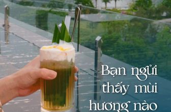 [☕️🇻🇳] 1988 Coffee – Bar 🥤 Top1Coffee ☕️ Bạn ngửi thấy mùi hương nào tại 1988?Hương của những hạt cafe được rang, xay
Hương của trái cây tươi thơm mát
Hương của sữa , shares-0✔️ , likes-14❤️️ , date-2023-09-20 22:50:03🇻🇳🇻🇳🇻🇳📰🆕