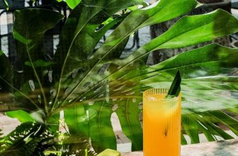 [☕️🇻🇳] ForDeer – Coffee with tree 🥤 Top1Coffee ☕️ Một buổi sáng ở Rừng…Bắt đầu ngày mới ở Rừng với một chiếc bánh xinh xắn và một cốc nước ép healthy để bắt đầu ngày mới đầy nă , shares-2✔️ , likes-23❤️️ , date-2023-09-25 14:40:10🇻🇳🇻🇳🇻🇳📰🆕