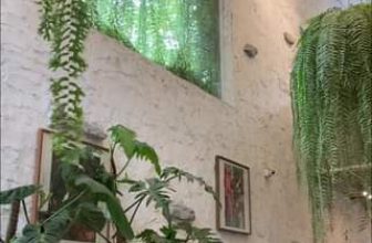 [☕️🇻🇳] ForDeer – Coffee with tree 🥤 Top1Coffee ☕️ ” Vào một ngày đẹp trời nào đó, bạn sẽ quên những thứ đáng phải quên và gặp những điều đáng phải gặp trong đời.” #Rừng_trú_ẩn #F , shares-0✔️ , likes-0❤️️ , date-2023-10-01 19:42:51🇻🇳🇻🇳🇻🇳📰🆕