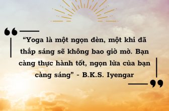 [🆕🇻🇳] Yogadaily – Trung tâm Yoga uy tín tại TPHCM 🧘 Top1Yoga 🧘 “Yoga là một ngọn đèn, một khi đã thắp sáng sẽ không bao giờ mờ. Bạn càng thực hành tốt, ngọn lửa của bạn càng sáng.“
– B.K.S. Iyengar ——————- , shares-0✔️ , likes-3❤️️ , date-2023-09-30 16:00:03🇻🇳🇻🇳🇻🇳📰🆕