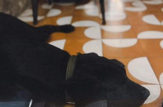 [☕️🇻🇳] Le Petit Cafe’ 🥤 Top1Coffee ☕️ Find your happy place .
———————————
BỌN MÌNH CÓ SHIP TẬN NƠI NHA
available on Grabfood and Vill
LE P , shares-1✔️ , likes-20❤️️ , date-2023-09-26 21:16:25🇻🇳🇻🇳🇻🇳📰🆕