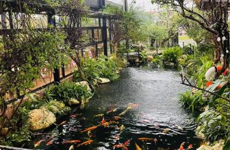 [☕️🇻🇳]  Minh Coffee 🥤 Top1Coffee ☕️ Cập nhật Thời tiết Bảo Ninh lúc này rất mát, không mưa, gió nhẹ.
Cây cối đã được cắt tỉa gọn gàng hơn chào đón những tháng ngà , shares-0✔️ , likes-31❤️️ , date-2023-10-13 22:50:23🇻🇳🇻🇳🇻🇳📰🆕