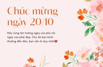 [🆕🇻🇳] Đồng phục học sinh cao cấp – Kidsky 😎❤️️⭐️ 𝐇𝐚𝐩𝐩𝐲 𝐕𝐢𝐞𝐭𝐧𝐚𝐦𝐞𝐬𝐞 𝐖𝐨𝐦𝐞𝐧’𝐬 𝐝𝐚𝐲 ♡ Shop xin dành tặng tất cả những người phụ nữ những lời chúc tốt đẹp nhất.
♡ Gửi đến các khách hàng chương trình Freeship áp , shares-0✔️ , likes-3❤️️ , date-2023-10-19 13:01:40🇻🇳🇻🇳🇻🇳📰🆕