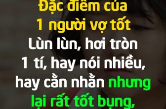 [🆕🇻🇳]  Queen fashion (Hàng fake tàu) – Hàng giá rẻ trung quốc 🧑‍🧒❤️️👶⭐️ he he chị em nào trong này là vợ tốt không?
, shares-11✔️ , likes-84❤️️ , date-2023-11-07 19:04:21🇻🇳🇻🇳🇻🇳📰🆕