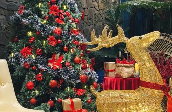 [☕️🇻🇳] Findi Coffee House 🥤 Top1Coffee ☕️ Một chút đỏ ấm áp tại nhà FinDi nữa nè ghé liền 01 Bùi Dự checkin nha khách ơi
, shares-2✔️ , likes-64❤️️ , date-2023-11-18 18:56:38🇻🇳🇻🇳🇻🇳📰🆕