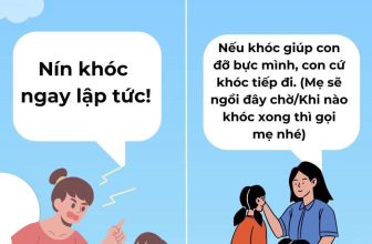 [🆕🇻🇳]  RainBow Design – Thế giới sơ mi cho các hoàng tử nhỏ 