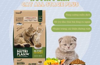 [🆕🇻🇳] FamiPet – Siêu Thị Cho Thú Cưng 🐶🦜 Top1Pets 🐱🐠 THỨC ĂN HẠT NUTRI PLAN ALLSTAGE PLUS CHO MÈO MỌI LỨA TUỔI
—————————–
Sản phẩm thức ăn hạt Nutri Plan Cat Allstage Plus là một loại thức  , shares-0✔️ , likes-4❤️️ , date-2024-04-04 23:36:08🐶🐱🇻🇳🇻🇳🇻🇳📰🆕