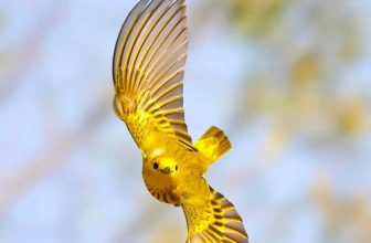 [🆕🇻🇳] Mathtasy Toán học kì thú – Một thế giới khác của Toán học 📚 Top1Learn 📕  , shares-10✔️ , likes-449❤️️ , date-2024-02-18 05:02:38🇻🇳🇻🇳🇻🇳📰🆕