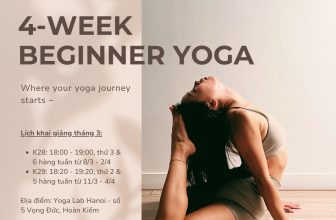 [🆕🇻🇳] Yoga Lab Hanoi – Holistic Wellness Studio in Ha Noi ~ Yoga • Reiki • Retreats ~ 🧘 Top1Yoga 🤸🏻‍♀️ Tuyển sinh khoá Yoga Nền Tảng & Cơ Bản 4 tuần (khoá 28 & 29)Khoá Yoga Nền Tảng & Cơ Bản là chương trình được xây dựng xen kẽ giữa Yin (yoga âm) và Hatha/ , shares-3✔️ , likes-28❤️️ , date-2024-02-19 13:59:05🇻🇳🇻🇳🇻🇳📰🆕