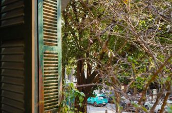 [🆕🇻🇳] Mood of I’ME 🍔 Top1Food 🍜 𝑵𝒂̆́𝒏𝒈 𝑿𝒖𝒂̂𝒏 𝒔𝒖̛𝒐̛̉𝒊 𝒂̂́𝒎 𝒃𝒂𝒏 𝒄𝒐̂𝒏𝒈 𝑩𝒐̂̃𝒏𝒈 – 𝑶̂́𝒄 𝒏𝒈𝒐𝒏 𝑯𝒂̀ 𝑵𝒐̣̂𝒊Khoảnh khắc chợt nhận ra được ánh nắng vàng từ mặt trời tỏa khắp bao trùm lên phố phường. , shares-0✔️ , likes-3❤️️ , date-2024-02-20 21:00:09🇻🇳🇻🇳🇻🇳📰🆕