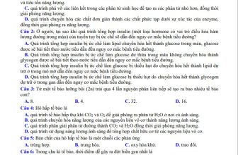 [🆕🇻🇳] SINH HỌC 4.0 – Thầy Nguyễn Duy Khánh 📚 Top1Learn 📕 Đề thi giữa kì II – Sinh học 10 (Chương trình mới) của trường THPT Phan Huy Chú – Hà Nội để thầy cô và các em tham khảo nhé.
File P.D.F ơ , shares-39✔️ , likes-53❤️️ , date-2024-03-06 23:44:00🇻🇳🇻🇳🇻🇳📰🆕
