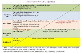 [🆕🇻🇳] SINH HỌC 4.0 – Thầy Nguyễn Duy Khánh 📚 Top1Learn 📕 Sinh vật qua các đại địa chất – Tiến hóa.
, shares-10✔️ , likes-39❤️️ , date-2024-03-05 20:43:21🇻🇳🇻🇳🇻🇳📰🆕
