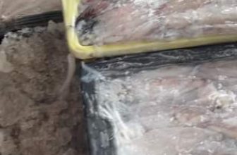 [🆕🇻🇳] Cua Cà Mau Anh Thái 🍔 Top1Food 🍜 Thành phẩm ngon thì nguyên liệu phải chất lượng
, shares-0✔️ , likes-6❤️️ , date-2024-04-25 13:16:07🇻🇳🇻🇳🇻🇳📰🆕