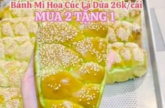 [☕️🇻🇳] Zero One Coffee – Bakery 🥤 Top1Coffee ☕️ Chiều nay e ra được 20 cái bánh mì hoa cúc lá  dứa nha mấy chế ơi !
khách ghé cửa hàng mua dùm e nha !
#170b_bùi_thị_trường_p5_ , shares-0✔️ , likes-0❤️️ , date-2024-05-10 21:06:48🇻🇳🇻🇳🇻🇳📰🆕