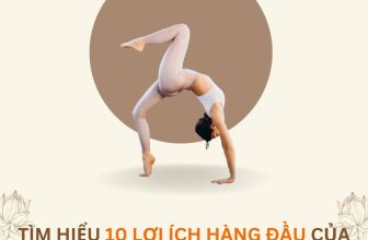 [🆕🇻🇳] Livan Studio ⚽ Top1Sport ⛹️‍♂️ 10 LỢI ÍCH HÀNG ĐẦU CỦA CÁC TƯ THẾ NGHỊCH ĐẢO YOGA1. Cải Thiện Hệ Tuần Hoàn
Hãy để trọng lực thực hiện điều này thay cho cơ thể bạn! Khi cơ thể bạn được , shares-2✔️ , likes-14❤️️ , date-2024-03-21 01:00:19🇻🇳🇻🇳🇻🇳📰🆕