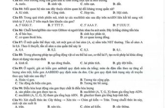 [🆕🇻🇳] SINH HỌC 4.0 – Thầy Nguyễn Duy Khánh 📚 Top1Learn 📕 Đề thi tham khảo môn Sinh học kì thi Tốt nghiệp THPT năm 2024.
Đề thi theo đúng xu hướng những năm gần đây là tăng tỉ lệ các câu hỏi suy luận logic, mang t , shares-33✔️ , likes-166❤️️ , date-2024-03-21 13:27:30🇻🇳🇻🇳🇻🇳📰🆕