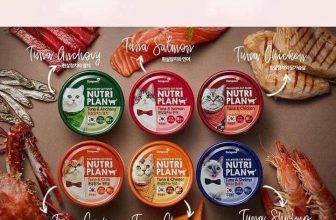 [🆕🇻🇳] FamiPet – Siêu Thị Cho Thú Cưng 🐶🦜 Top1Pets 🐱🐠 —𝗣𝗮𝘁𝗲 𝗡𝘂𝘁𝗿𝗶 𝗣𝗹𝗮𝗻 𝗛𝗮̀𝗻 𝗤𝘂𝗼̂́𝗰 𝗰𝗮𝗼 𝗰𝗮̂́𝗽 𝟭𝟲𝟬𝗴—
Pate cho mèo Nutri Plan phù hợp cho mèo ở mọi giai đoạn, mọi lứa tuổi. Với công thức đặc biệt dễ ăn, thơm  , shares-0✔️ , likes-4❤️️ , date-2024-04-04 23:35:23🐶🐱🇻🇳🇻🇳🇻🇳📰🆕