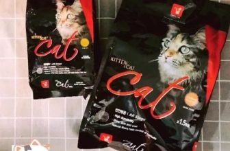 [🆕🇻🇳] FamiPet – Siêu Thị Cho Thú Cưng 🐶🦜 Top1Pets 🐱🐠 Giới thiệu
Hạt Cat Eye Kitten & Cat Cho Mèo Có Ngừa Búi Lông là hạt khô cho mèo của Cat Eye, Hàn Quốc.Tác Dụng
– Công thức chứa chất xơ tự nhiên và bột c , shares-0✔️ , likes-4❤️️ , date-2024-04-04 23:34:28🐶🐱🇻🇳🇻🇳🇻🇳📰🆕