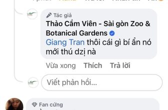[🆕🇻🇳] Thảo Cầm Viên – Sài gòn Zoo & Botanical Gardens ♥️️ Top1Checkin ☑  Tâm sự giữa trưaBữa giờ Ad đem thân mình ra làm niềm dzui cho quý dzị
Đọc còm của Quý dzị khiến Ad cười như con điên suốt cả ngày, thiệt là ấm lòng hết s , shares-10✔️ , likes-1.035❤️️ , date-2024-05-13 17:17:47🇻🇳🇻🇳🇻🇳📰🆕