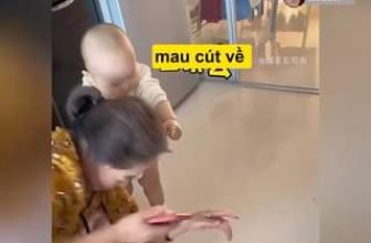 [🆕🇻🇳] HaTha Store – Hàng Xuất Khẩu 😎❤️️⭐️ Khả năng có 102 của bọn không răng
, shares-0✔️ , likes-123.379❤️️ , date-2024-06-04 17:47:24🇻🇳🇻🇳🇻🇳📰🆕