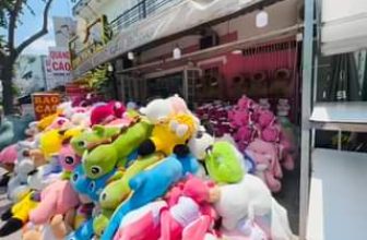[🧸️🇻🇳] Vương Quốc Gấu Bông – Shop chuyên quà tặng gấu bông cao cấp 🎈Top1Toys🧸️  Khám phá thêm trong Video
, shares-0✔️ , likes-5❤️️ , date-2024-04-19 01:06:45🇻🇳🇻🇳🇻🇳📰🆕