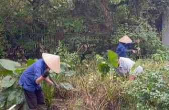 [🆕🇻🇳] TRIEU CUONG STUDIO 🤵🏻 Top1Wedding 👰🏻  Quá trình cải tạo và sửa chữa phim trường độc quyền của Trieu Cuong Studio #trieucuongstudio #chupstudio #xuhuong #foryou #couple #prewedding #learnontikto , shares-0✔️ , likes-0❤️️ , date-2024-05-05 18:19:44🇻🇳🇻🇳🇻🇳📰🆕